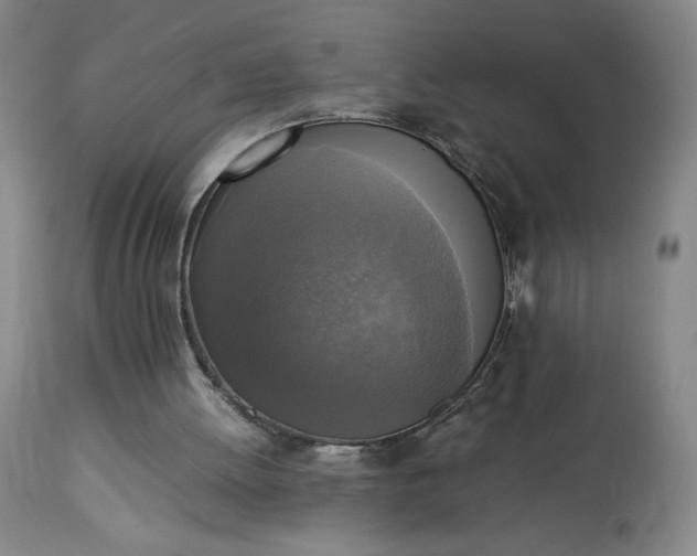 X0000113220052200909241457