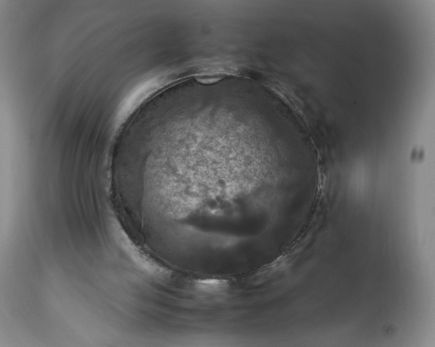 X0000113220053200909241457