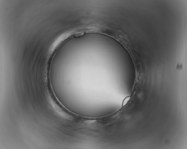 X0000113220054200909241457