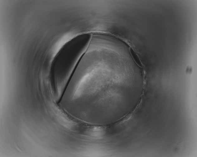 X0000113220056200909241457