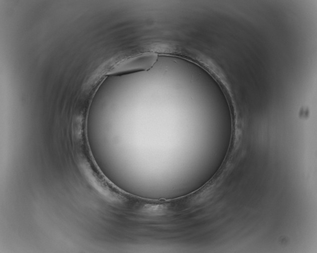 X0000113220057200909241457