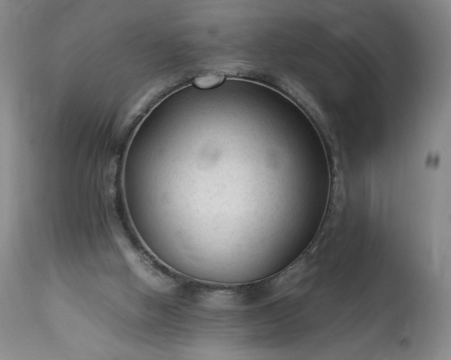 X0000113220058200909241457