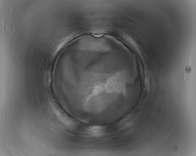 X0000113220059200909241457