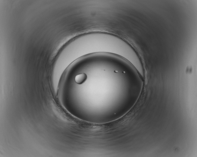 X0000113220060200909241457