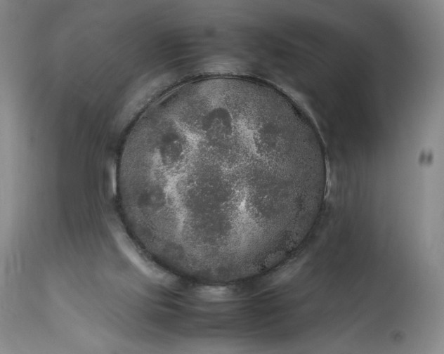 X0000113220061200909241457