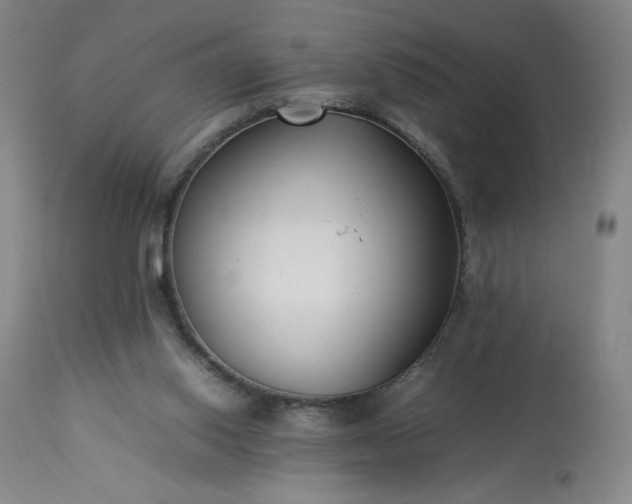 X0000113220062200909241457