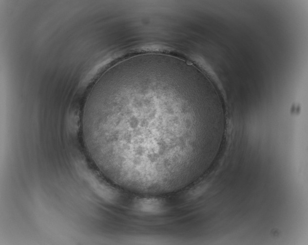 X0000113220063200909241457