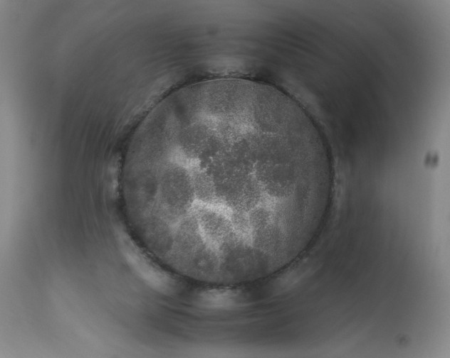 X0000113220065200909241457