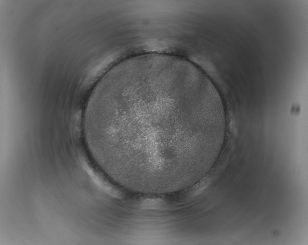 X0000113220066200909241457