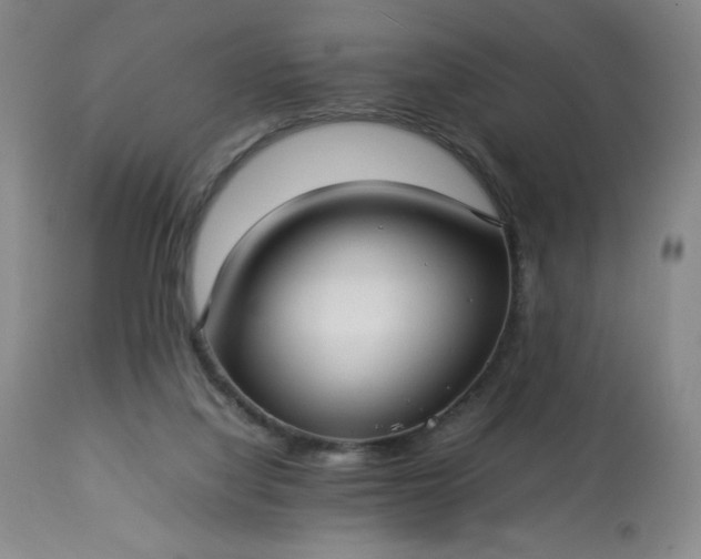 X0000113220068200909241457