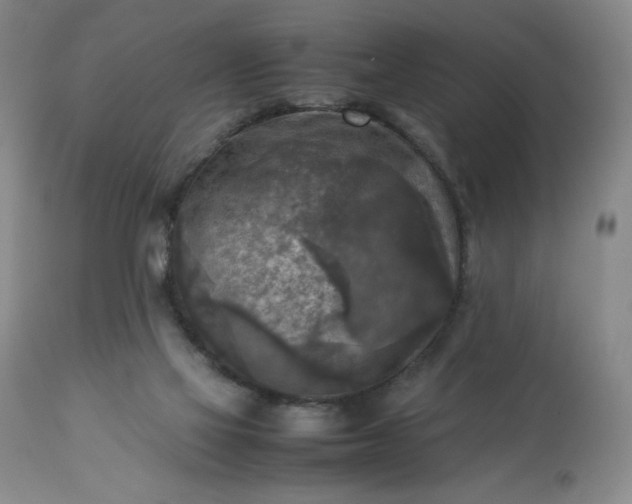 X0000113220069200909241457