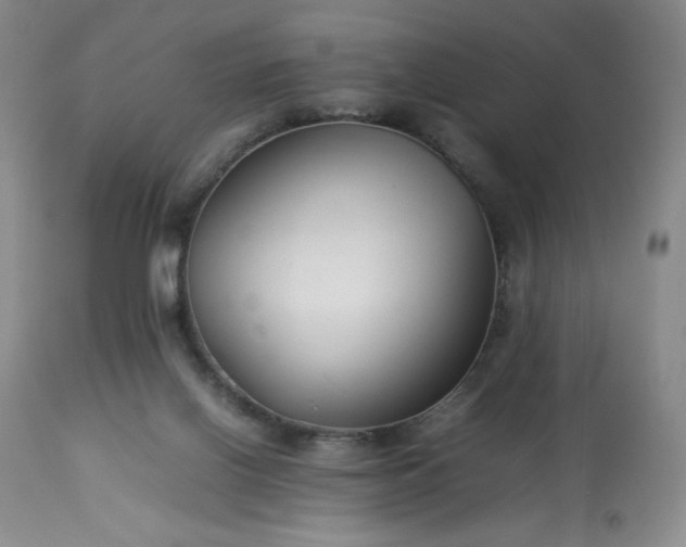 X0000113220070200909241457