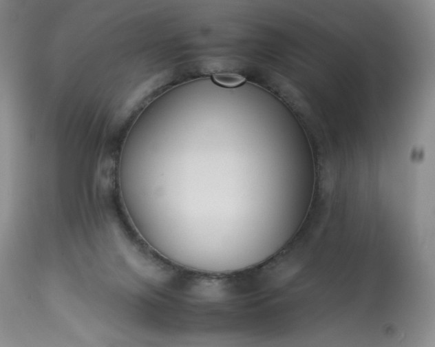 X0000113220071200909241457