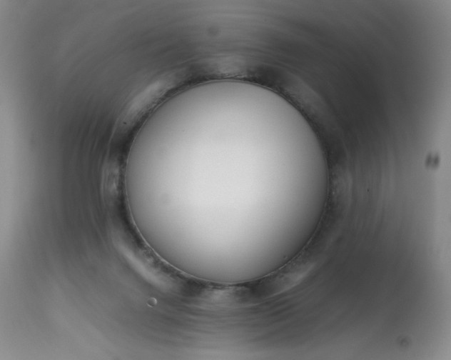 X0000113220072200909241458