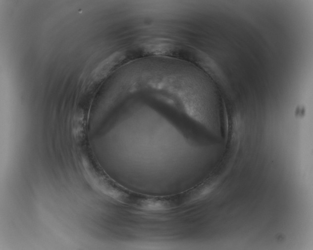 X0000113220073200909241458