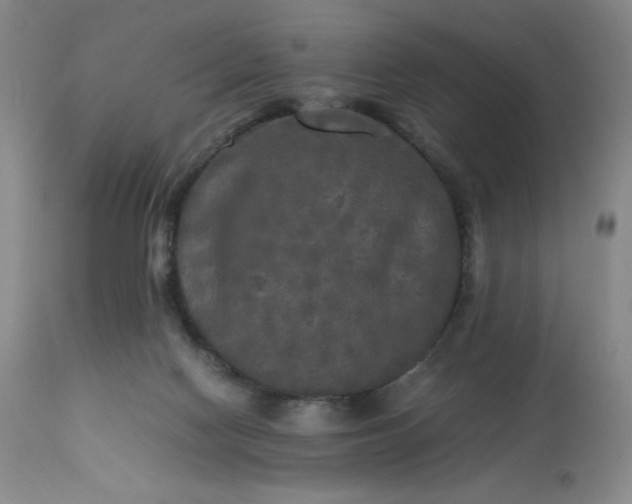 X0000113220074200909241458