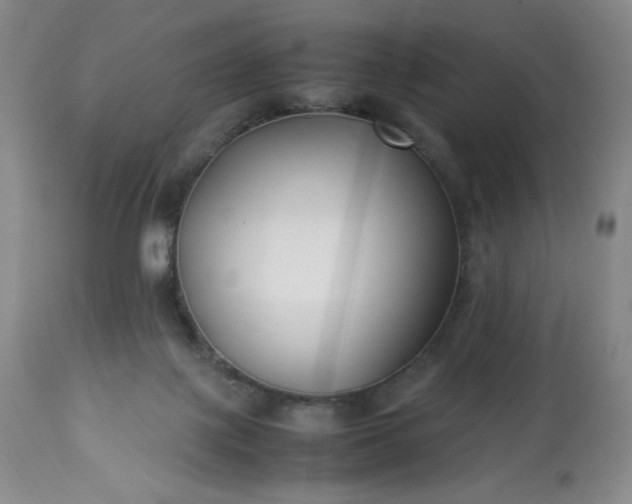 X0000113220075200909241458