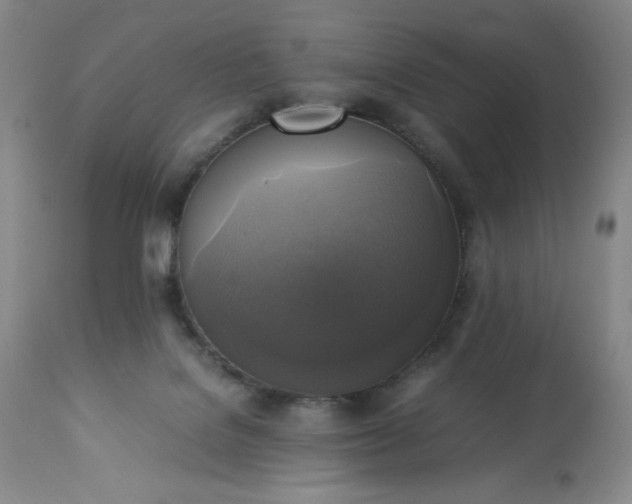 X0000113220076200909241458