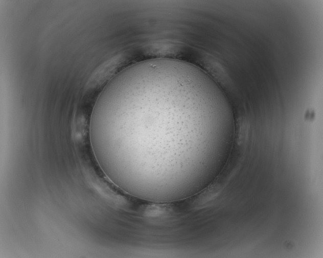 X0000113220077200909241458