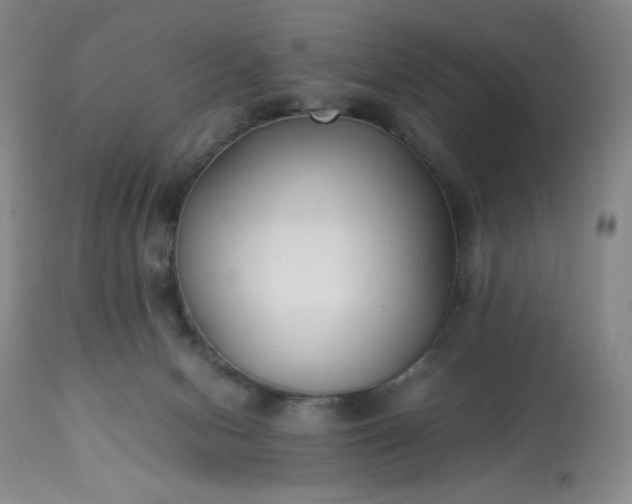 X0000113220078200909241458