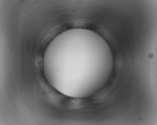 X0000113220079200909241458