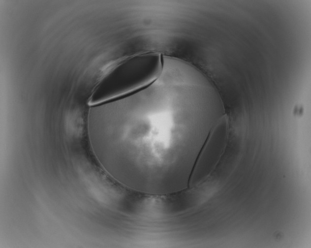 X0000113220080200909241458