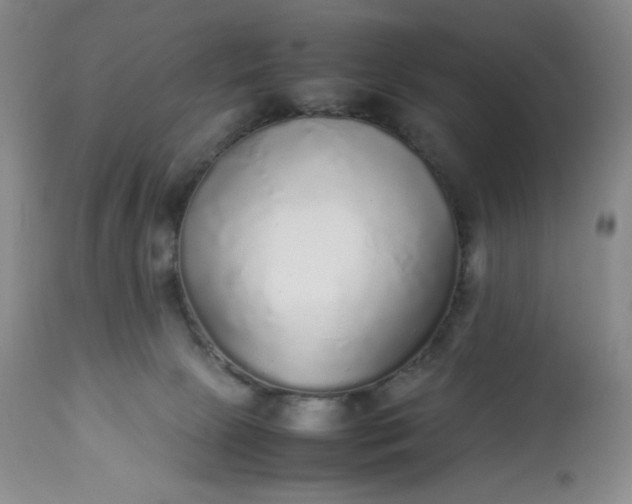 X0000113220081200909241458