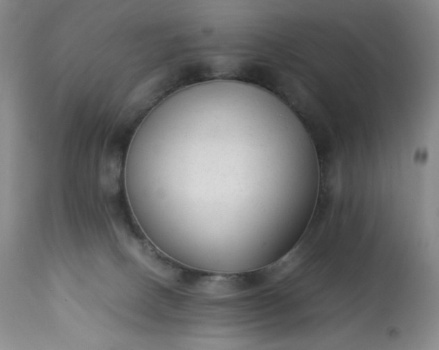 X0000113220082200909241458