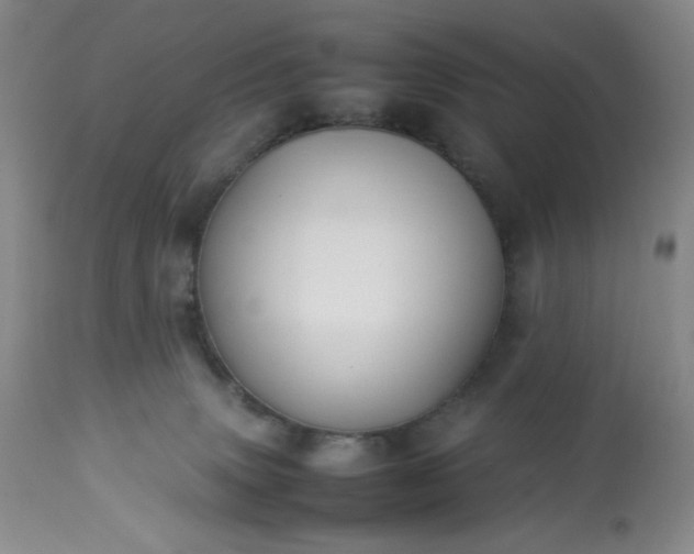 X0000113220083200909241458