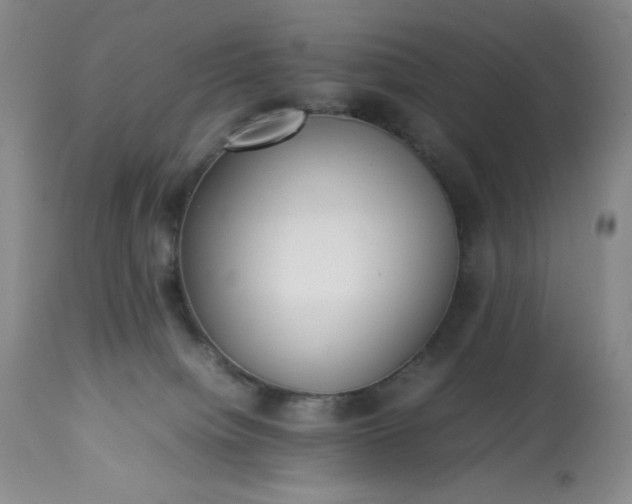 X0000113220084200909241458