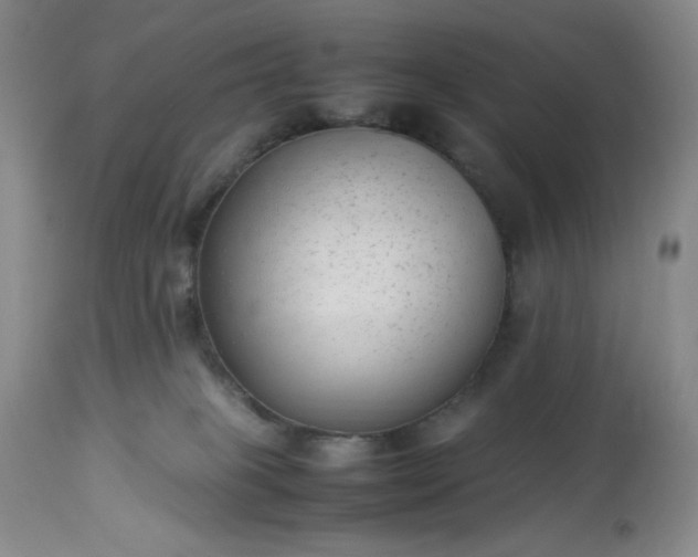 X0000113220085200909241458