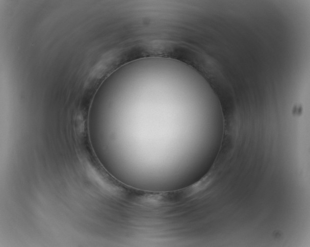 X0000113220086200909241458