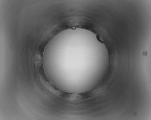 X0000113220087200909241458