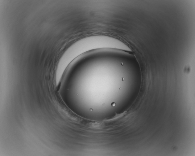 X0000113220088200909241458