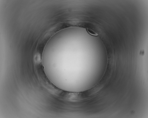 X0000113220089200909241458