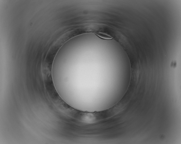 X0000113220091200909241458