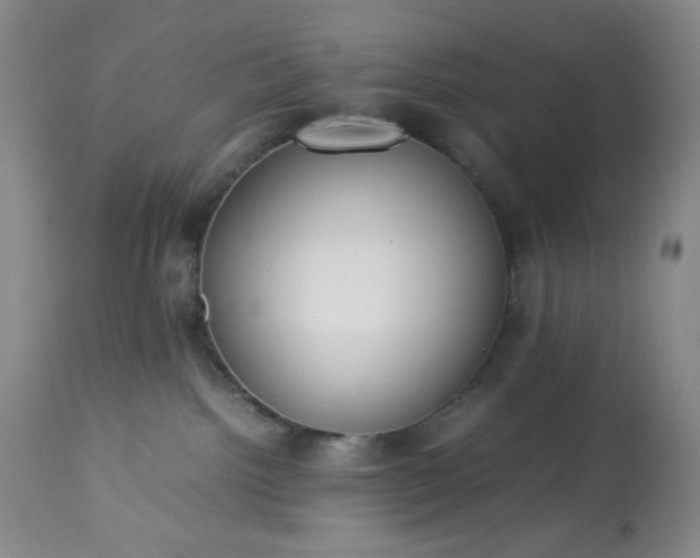 X0000113220092200909241458