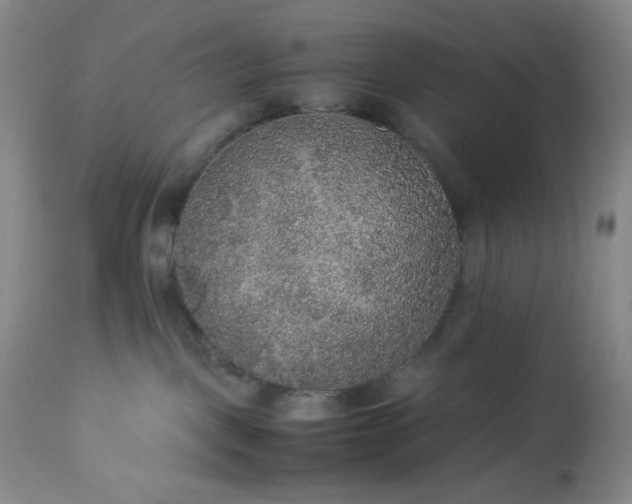 X0000113220093200909241458