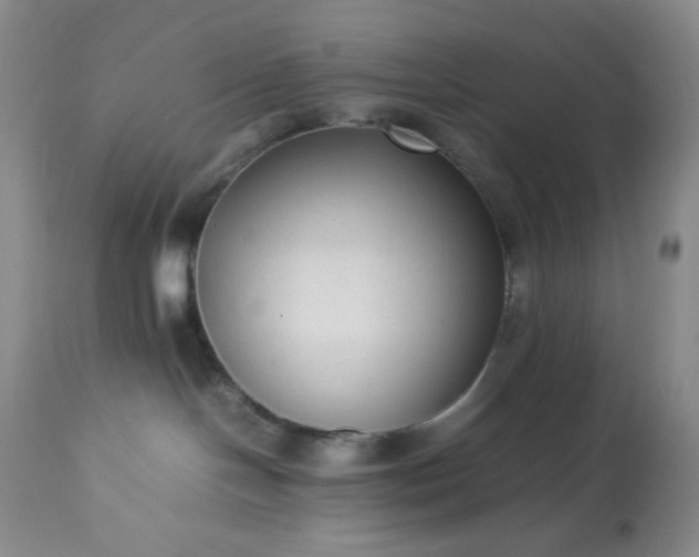 X0000113220094200909241458