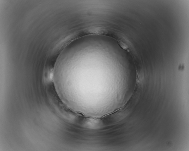 X0000113220095200909241458