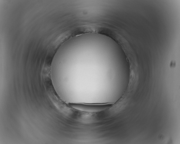 X0000113220096200909241458