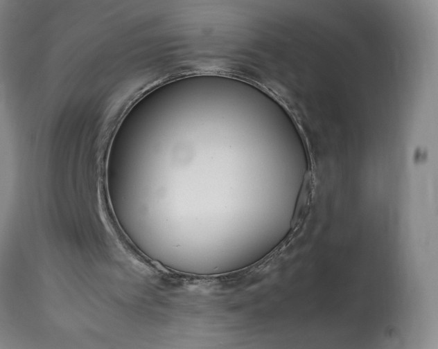 X0000113220097200909241457