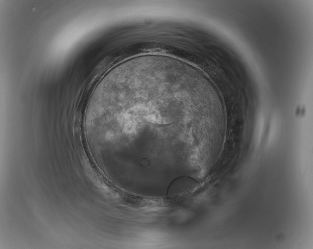 X0000113220099200909241457