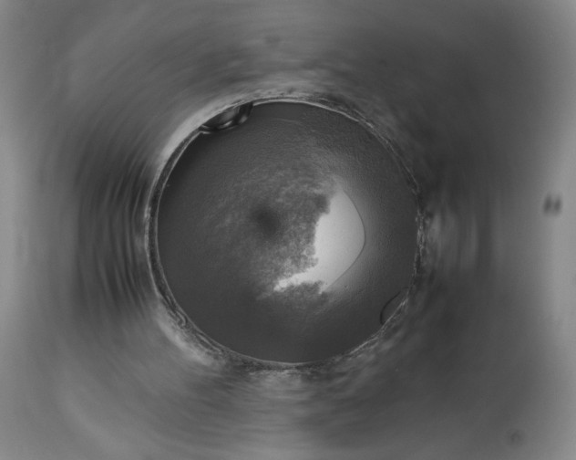 X0000113220100200909241457