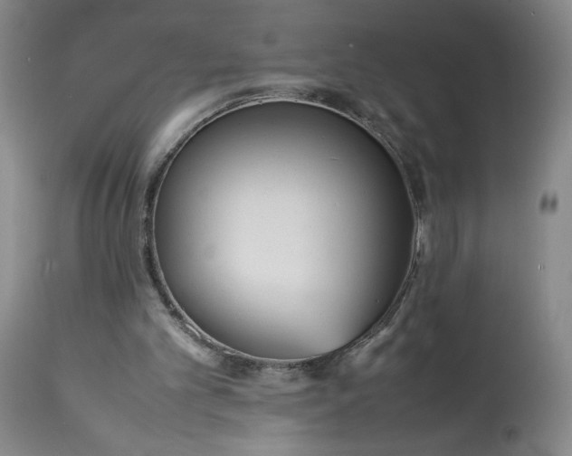 X0000113220101200909241457