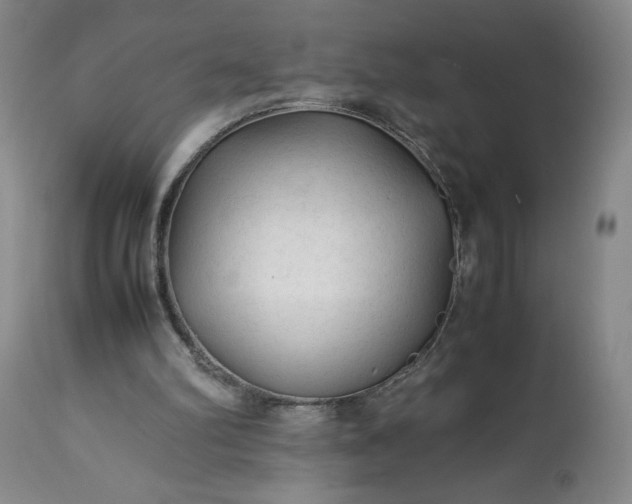 X0000113220102200909241457