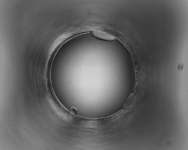 X0000113220104200909241457