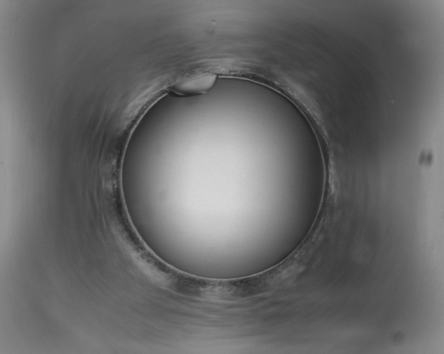 X0000113220105200909241457