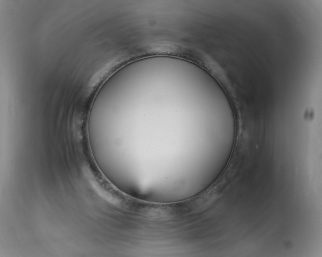 X0000113220106200909241457