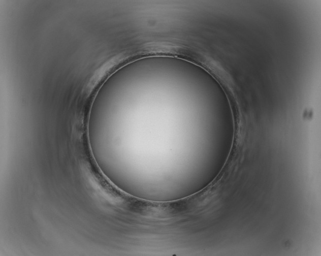 X0000113220107200909241457